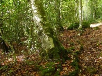 Cañones y nacimento del Ebro - Monte Hijedo;fotos de senderismo;rutas trekking